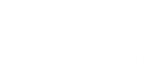 BlueMed Holidays